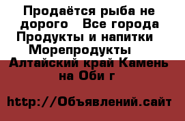 Продаётся рыба не дорого - Все города Продукты и напитки » Морепродукты   . Алтайский край,Камень-на-Оби г.